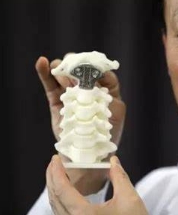 SZ3D-GK01定制式3D打印人体医学模型华翔