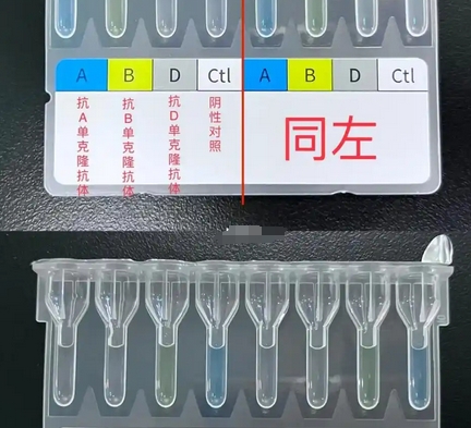 ORTHO Optix? 奥森多血型分析用柱凝集卡判读仪