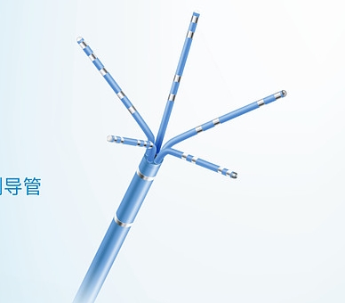 D160906 强生一次性使用磁定位星型标测导管