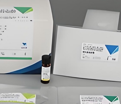 R2 14mL×2 同型半胱氨酸检测试剂盒