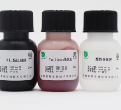 CTAK004-1：4×20ml/套 弹力纤维染色液卡秋