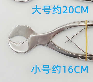 180mm 新华牙科剪