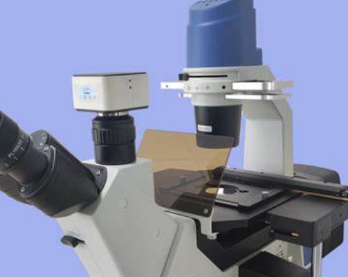 GK-2100D 荧光生物显微镜国康
