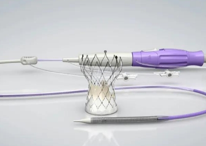 ZR-G50B 一次性使用电子宫腔成像导管卓瑞