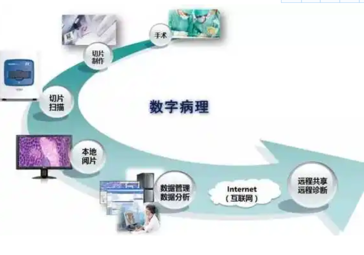 MLC01 远程病理诊断系统