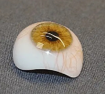 羟基磷灰石生物陶瓷义眼台