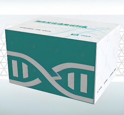 dsDNA-BR测序反应通用试剂盒德诺杰亿代理