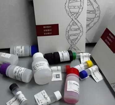 EPOR（19p13）基因断裂探针试剂康录厂家