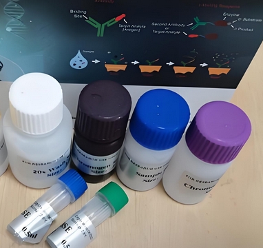 7mL末端脱氧核苷酸转移酶（TdT）抗体试剂风北厂家