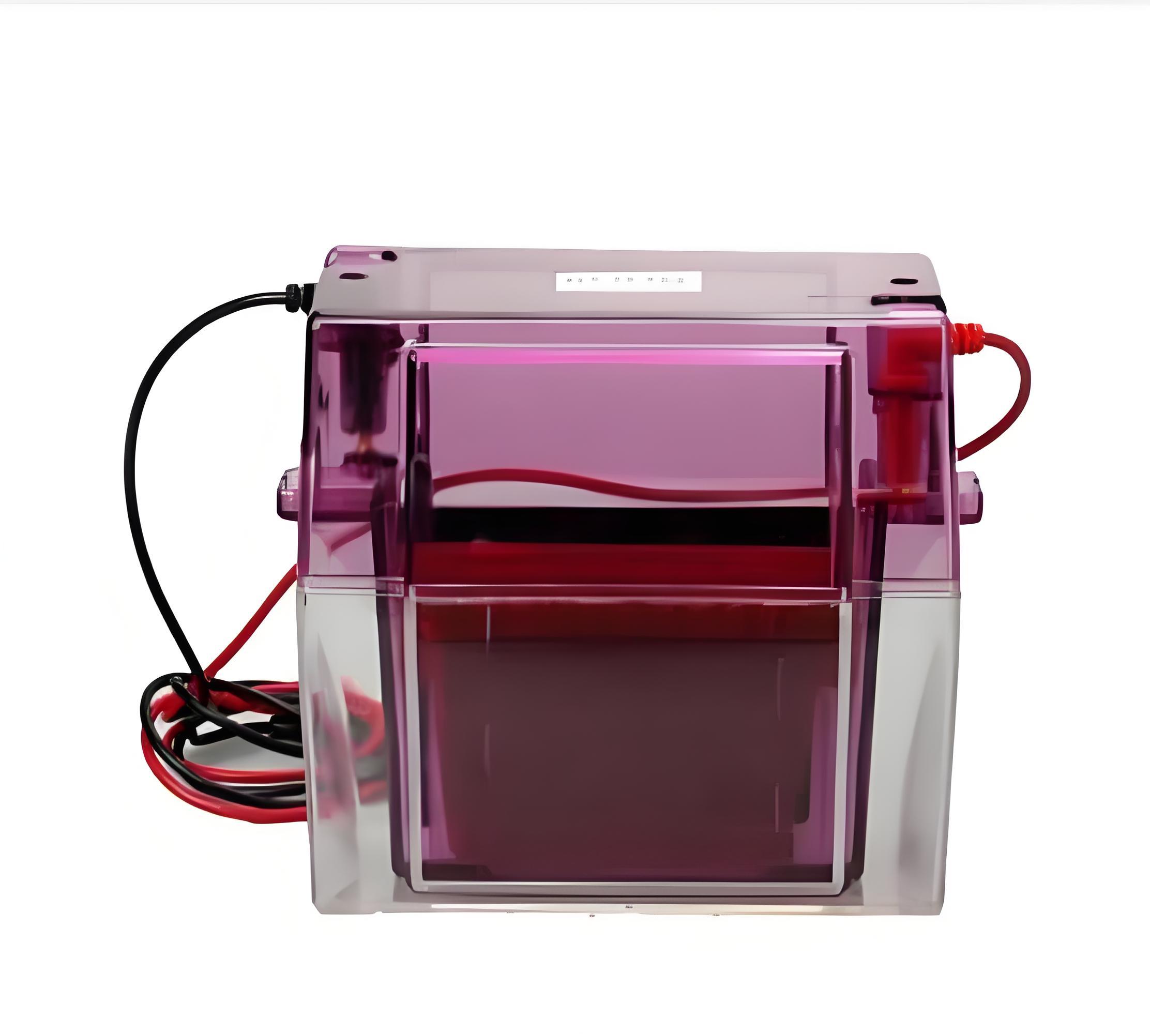 湿式转印仪 E-Blotter  厂家