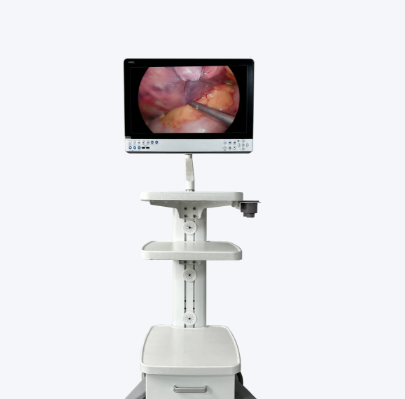 FE0300医用4K一体化内窥镜摄像系统询价
