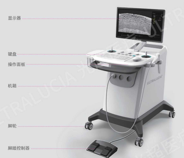 光学相干层析成像激光宫颈检测仪UL-C120B