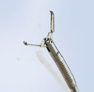 11.png